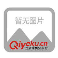 供應(yīng)日本RKC溫控表